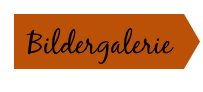 Bildergalerie