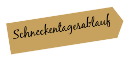 Schneckentagesablauf